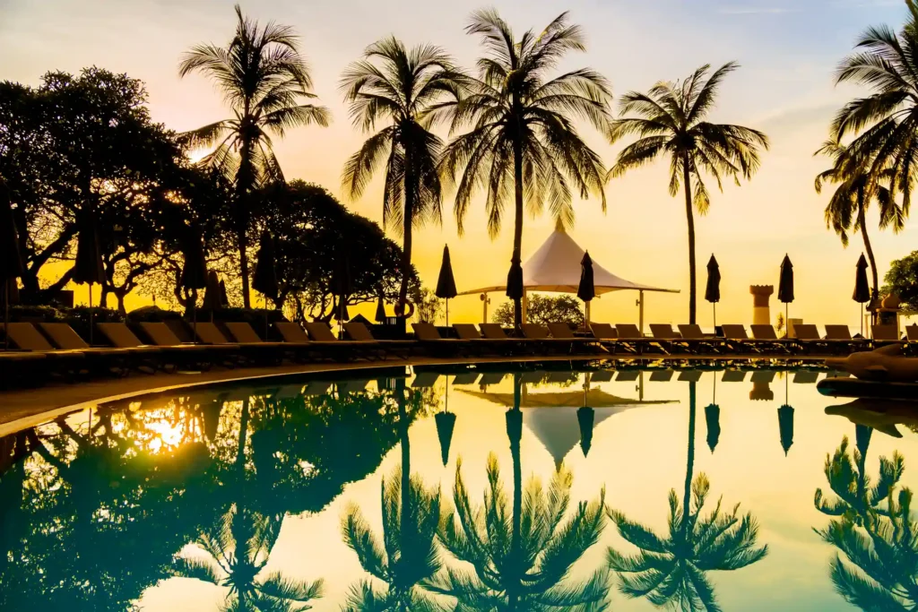 silhouette-coconut-palm-tree-around-swimming-pool-2024-09-18-06-35-19-utc_result.webp